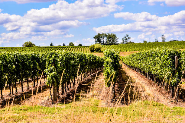 istock European natural countryside 2186452112