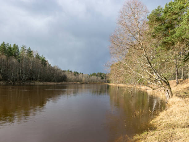 istock beautiful sunny landscape with river 2186462908