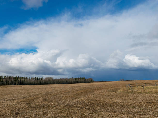 istock agricultural fields with fresh stubble after harvesting 2186463112