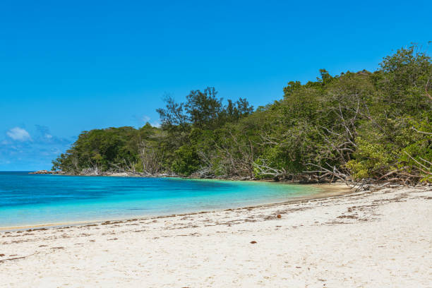 istock Beautiful Sandy Beach At Anse St Jose 2186478346
