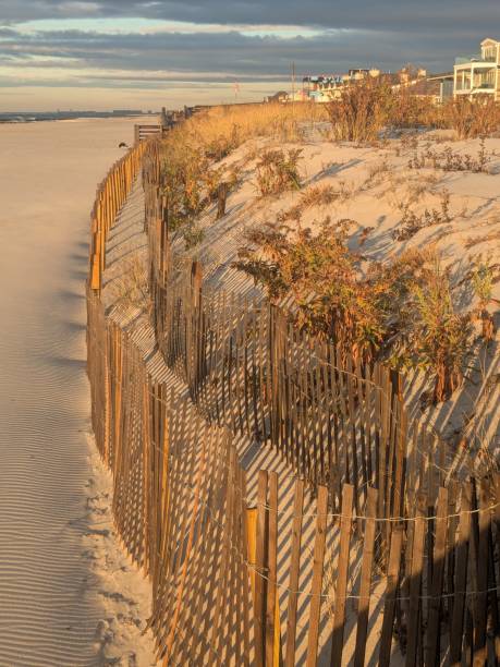 istock Sunrise on the Sand Dunes 2186479143