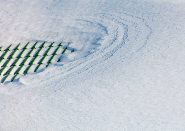 Aerial drone view of a public ice skating oval.