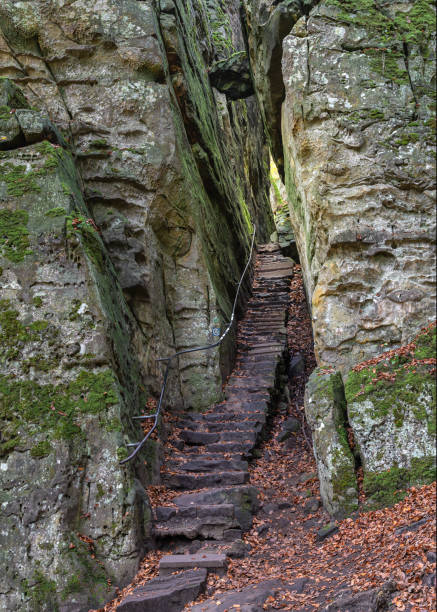 istock Landscape close to Treves, Eifel, Germany 2186487548