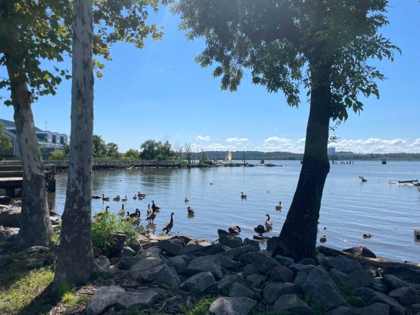 istock Morning walk through Oronoco Park, Alexandria 2186487899