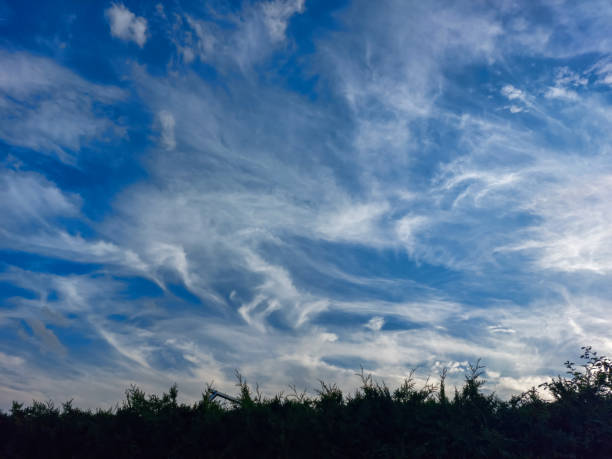 View of blue sky with white clouds in a sunny day. Background of sky with patchy white clouds
