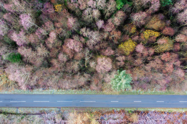 istock Drone view of a rural road beside a forest 2186489928