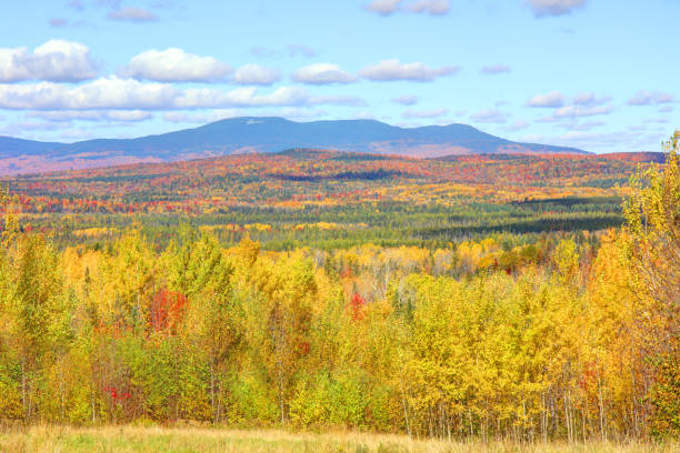 Jackman is a town in Somerset County, Maine. Jackman is known for stunning natural landscapes, endless recreational opportunities, and serene tranquility