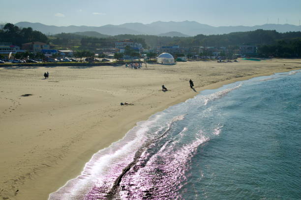 Yangyang County, South Korea - November 3rd, 2024: The glistening shoreline of Namae Beach reflects sunlight as gentle waves lap against the sand, with visitors strolling under a tranquil sky.