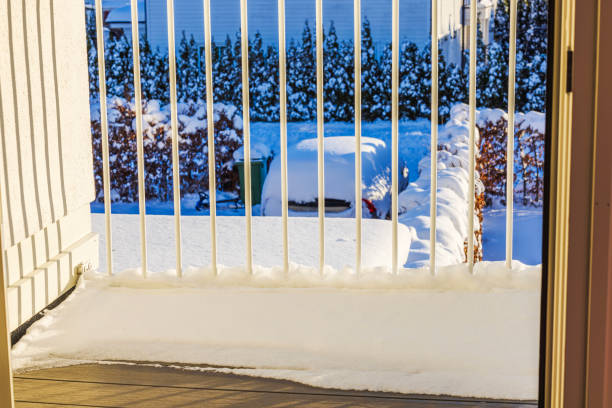 Fresh snow covers trees, cars, and houses during a winter storm