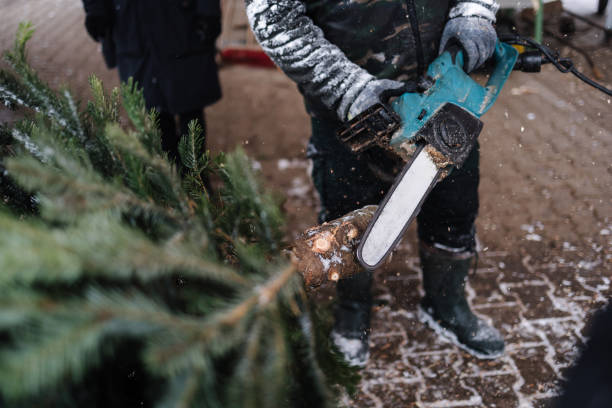 istock Man cuts a part of the trunk from a Christmas tree with a chainsaw 2186499693