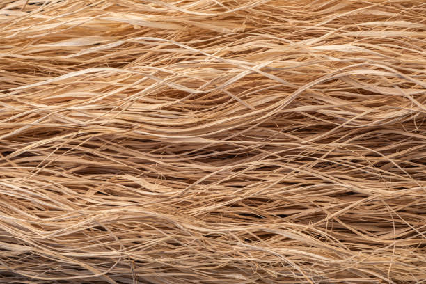 istock Close up straw texture background. raw flax fiber. 2186501781