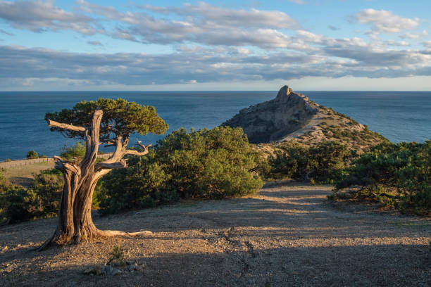 Amazing evening view from Cape Kapchik to the surrounding bay of the Crimean Peninsula.