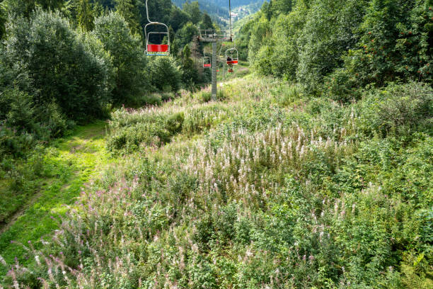 istock Ski lift in green forest. Cableway in Mountains. Summer nature. 2186502160