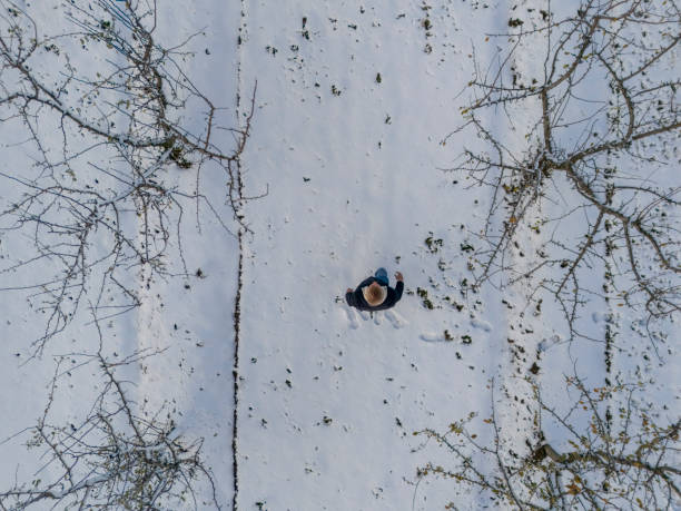 istock Agricultural field in winter 2186505210