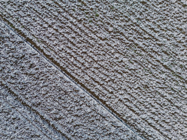 Plowed agricultural field covered with snow