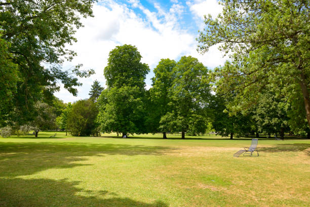 istock Large grassy meadow in summer park. 2186508027