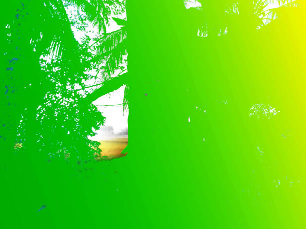 green leaves, flora in nature with gradient color tone
