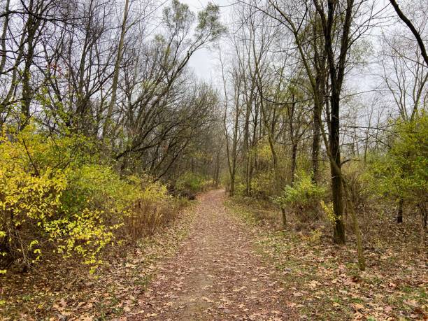 istock Historic Bridge Park in Emmett Township, Michigan 2186510052