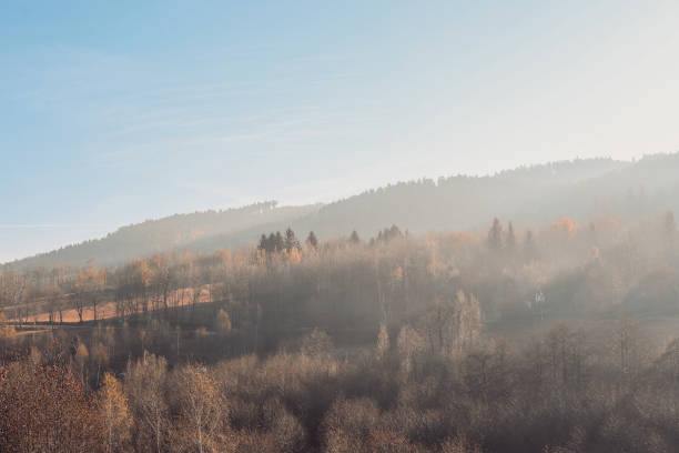 The image depicts a serene landscape featuring trees shrouded in fog, evoking a tranquil winter atmosphere. The morning light casts a gentle haze over the mountains and hills, enhancing the beauty of nature in this outdoor scene. The setting suggests a peaceful moment in Lower Silesia, Poland.