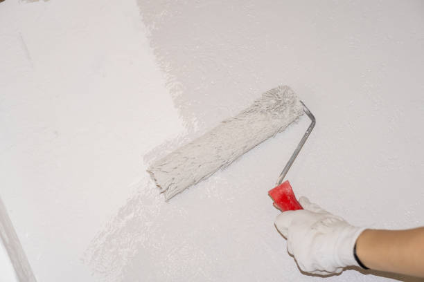 istock A woman manually paints a wall with a paint roller. Painting the apartment 2186515899