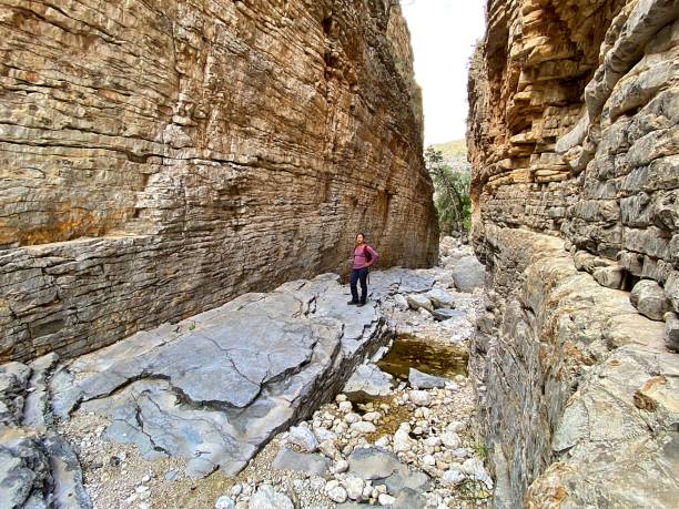 istock Canyon in Guadalupe Mountains National Park 2186519943