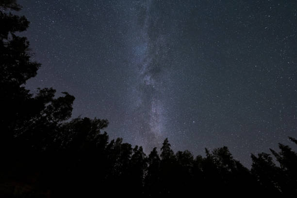 istock Silhouettes of trees, starry sky and milky way. 2186520199