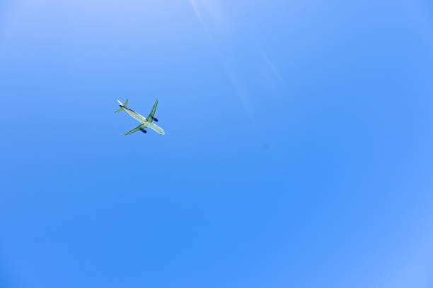 istock A green airplane flying high in a clear blue sky on a sunny day. 2186521937