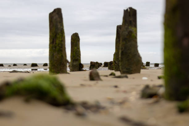 Rest des alten Fähranlegers Wangerooge