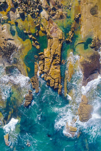 istock rocky shore coast, zenithal aerial drone view 2186529264