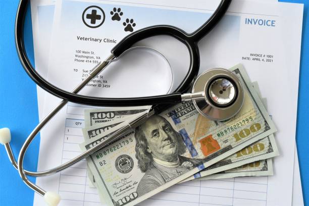 istock Veterinarian invoice cost for pets 2186529319