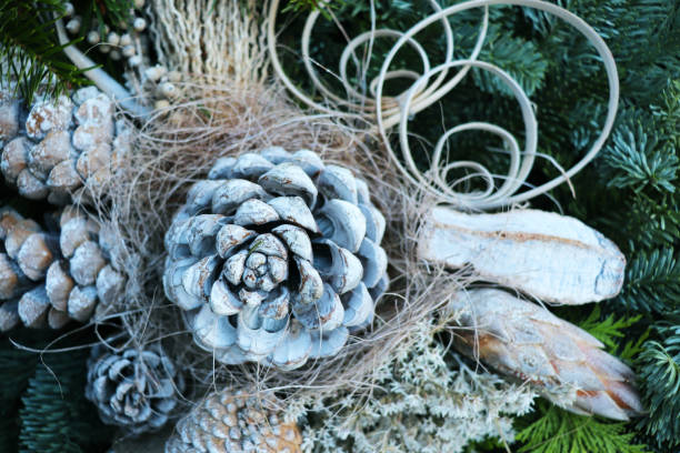 istock Christmas background made of fir branches 2186532345