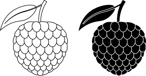 sugar apples fruit icon outline silhouette sugar apples fruit icon set cartoon of sweatshop stock illustrations