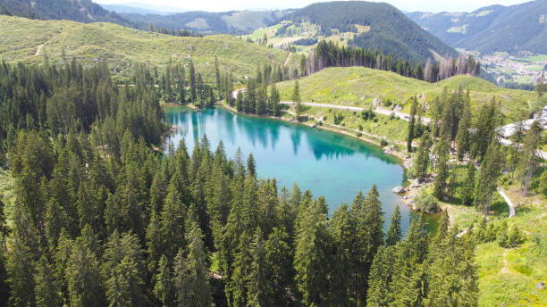 istock Lake Carezza reflecting coniferous forest in the Dolomites, Italy 2186533895