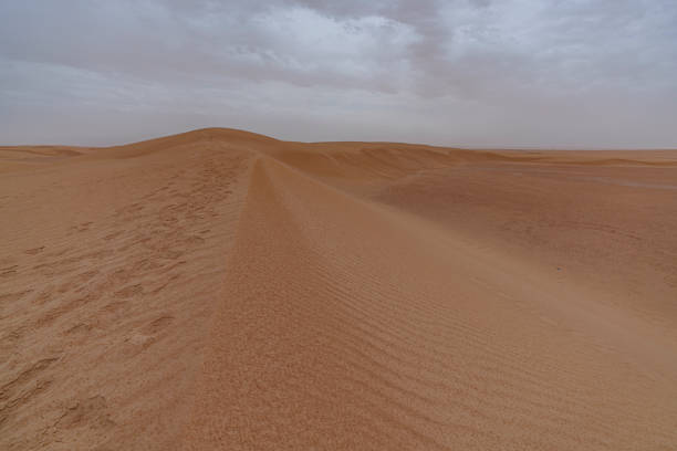 Desert dunes creating beautiful landscapes and amazing textures
