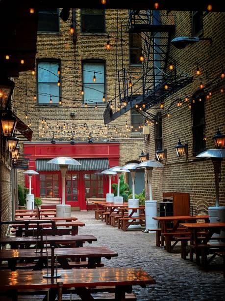 istock Charming alley on Chicago's West Sidecar 2186538153