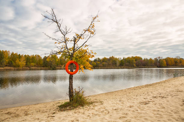 Autumn landscape with river beach, cloudy sky and lifebuoy hanging on tree.