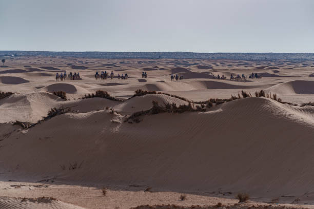 Desert dunes creating beautiful landscapes and amazing textures