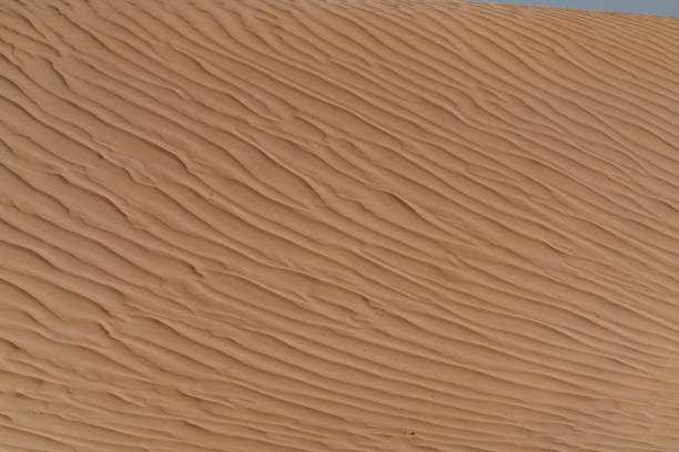 Sand dunes in the desert at sunset. Selective focus. Abstract natural yellow sand background.