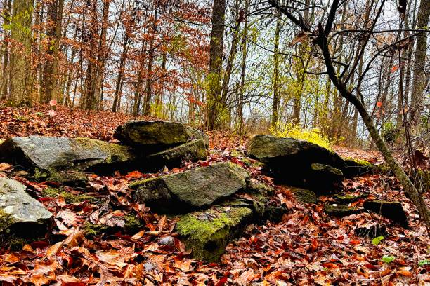 istock Moss Covered Granite Rock Ledge  With The National Forest Tree Line Directly Overhead 2186541842