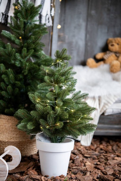 istock Small artificial Christmas tree with lights in cozy indoor setting 2186543899