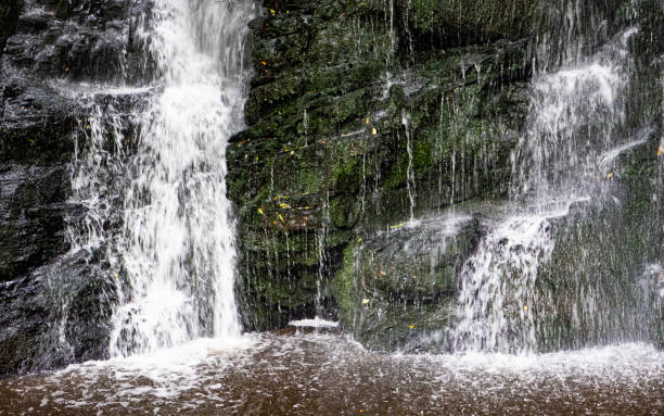 istock Waterfall in New Zealand forest bush Catlins 2186557862