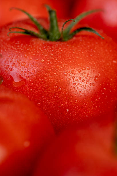 istock wet ripe red tomatoes on the table 2186564697