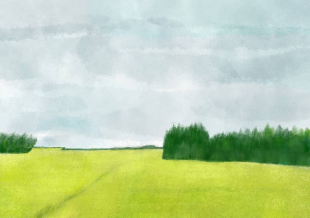 istock Clip art of young grass-colored rice field scenery. 2186567076