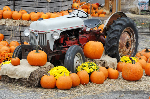 istock pumpkin harvest decoration in the farm with old tractor 2186569904