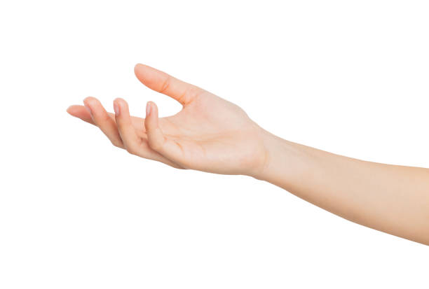 istock Clipping path, woman hand touching or pointing on isolated white background. 2186571922