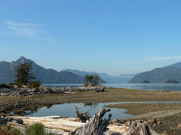 istock Oliver’s landing beach near Squamish 2186573561