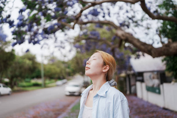 istock Young woman enjoying a serene moment under blooming jacaranda trees 2186573574
