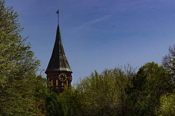 The clock tower stands tall amid lush green trees, showcasing intricate architecture against a vivid blue sky. Sunlight enhances the scene, showcasing its historical charm in the afternoon.