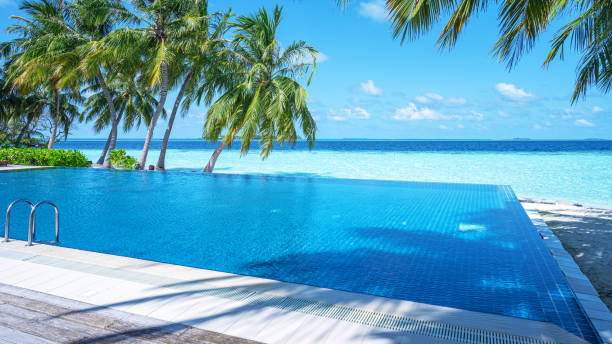 istock Infinity swimming pool with sea view on tropical island resort 2186576778
