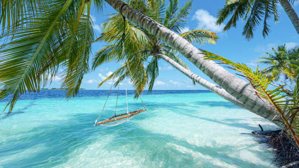 istock Swing hanging from coconut palm tree on tropical beach by the turquoise sea 2186576950